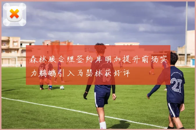 森林狼合理签约库明加提升前场实力鹈鹕引入马瑟林获好评