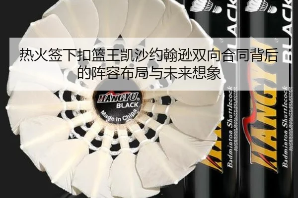 热火签下扣篮王凯沙约翰逊双向合同背后的阵容布局与未来想象